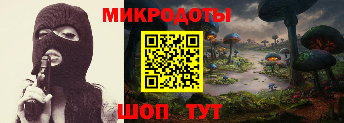 Галлюциногенные грибы прущие грибы  Псилоцибиновые грибы мицелий  Котлас  цена   Вход с VPN 